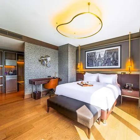 Hotel Radisson Collection Hotel, Vadistanbul