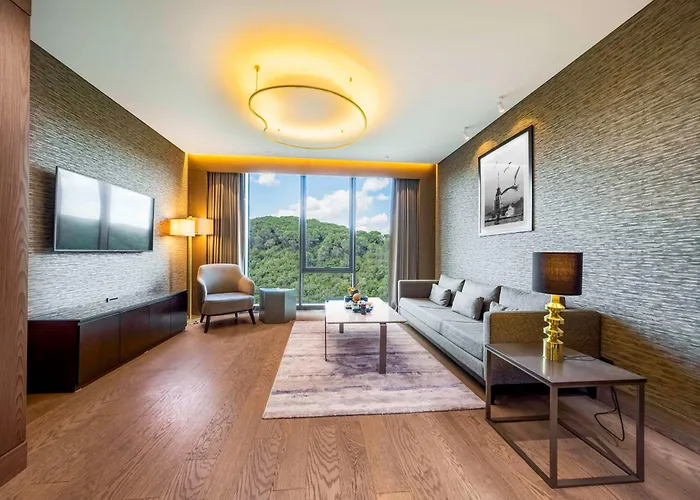 Hotel Radisson Collection Hotel, Vadistanbul Istambul